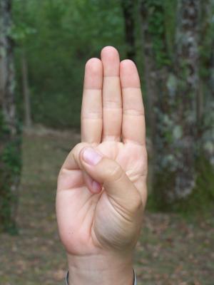 Foto van de scoutsgroet met drie vingers