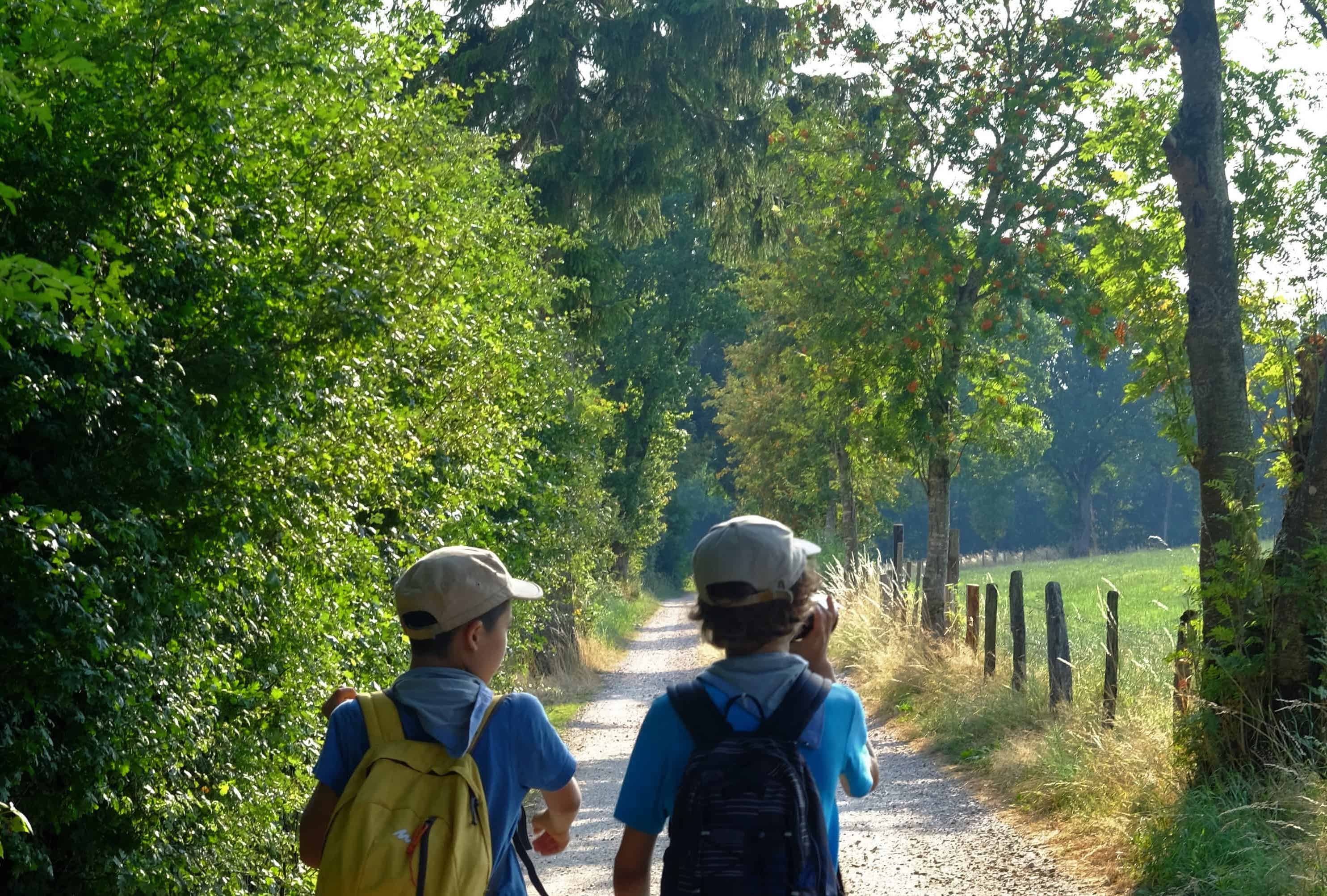 Foto van twee stappende wolven