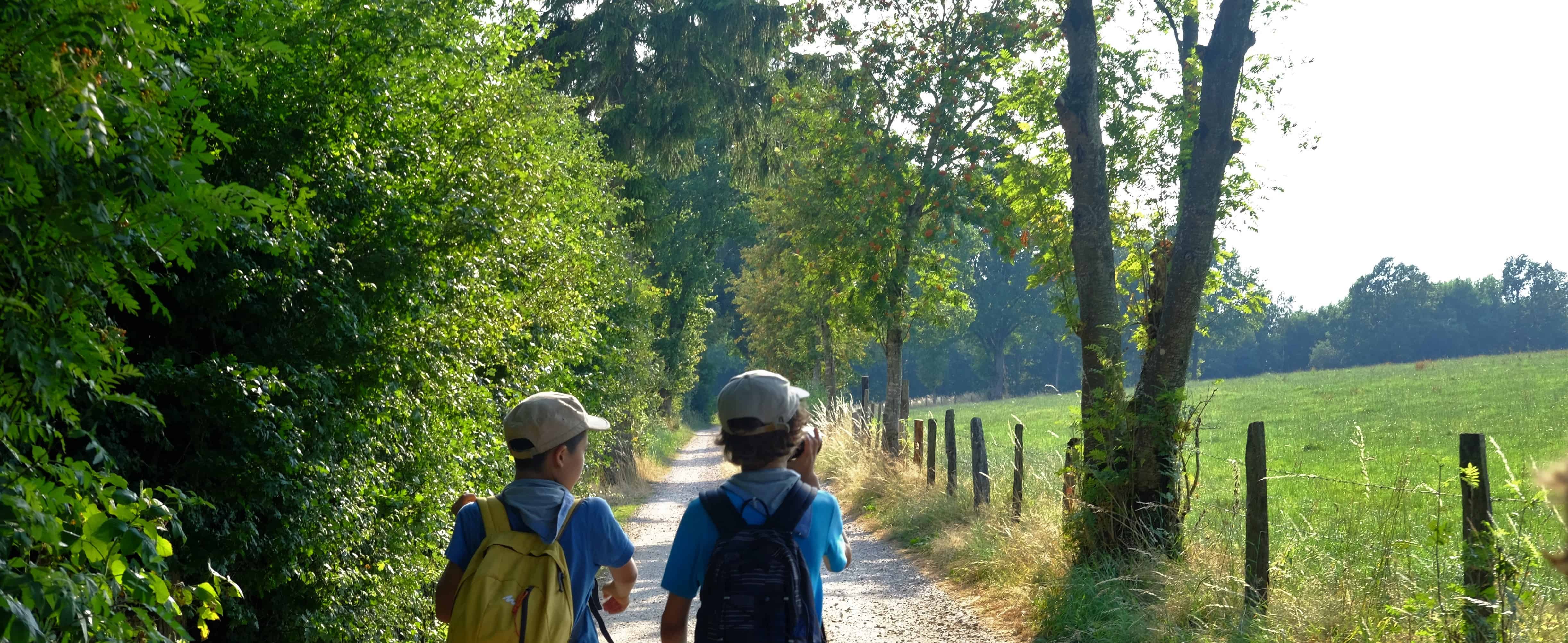 Foto van twee stappende wolven