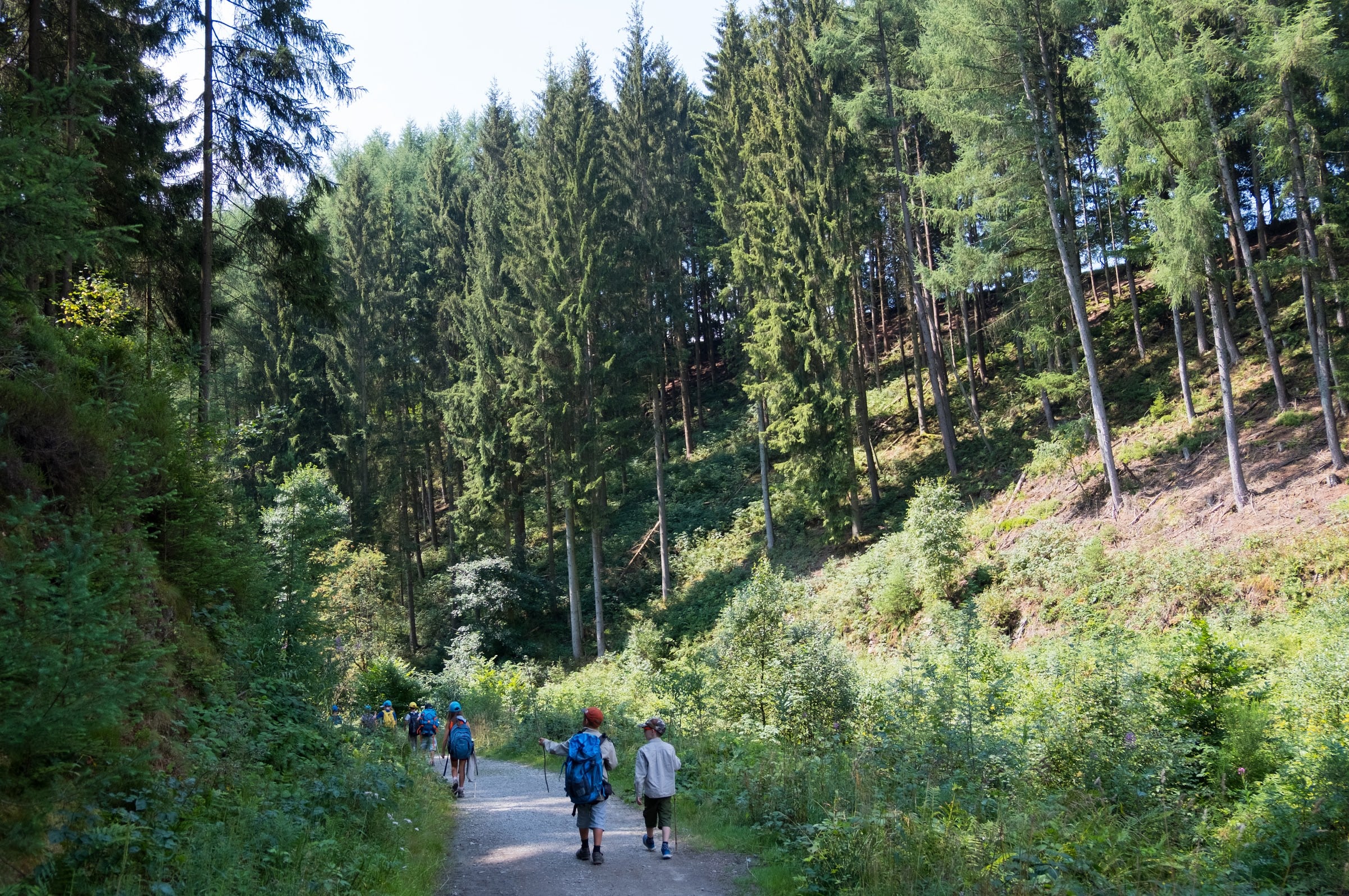 Wandeling
